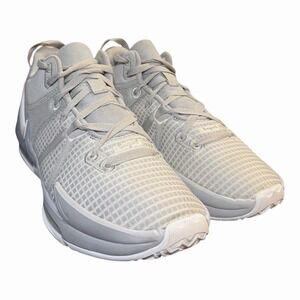 Nike LeBron Witness‎ VII TB Basketball Shoes Wolf Grey White Size 10 DZ3299-002